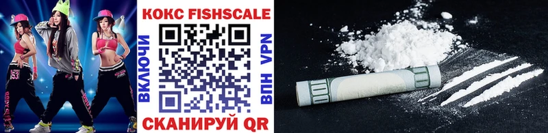 COCAIN Fish Scale  Купить закладки  Каменногорск 