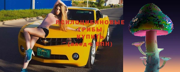 индика Майский