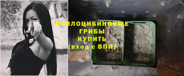 индика Майский