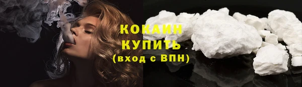 индика Майский