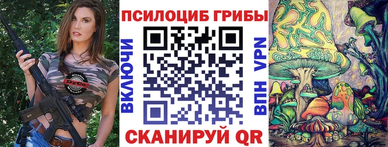 Купить закладки  Каменногорск  Галлюциногенные грибы MAGIC MUSHROOMS 